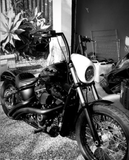 V-ROD V ROD VROD DYNA SPORTSTER XL HEADLIGHT COVER / FAIRING MASK FOR HARLEY HD