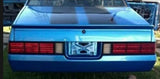 RIDERPITSTOP MMX Filler Portatarga Tasca 1978-1983 Malibu Posteriore