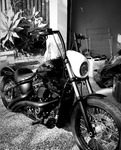 Scheinwerfer Verkleidung Maske Abdeckung Für 2018-20 HD Softail M8 Fxbr Breakout