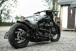 2018 2019 2020 Harley Milwaukee 8 M8 Corta Posterior FENDER Bajo Rider Fxlr