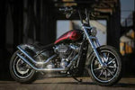 Short 19" Front Fender 2018+ Softail M8 Street Bob FXBB / Low Rider FXLR - RIDER PITSTOP